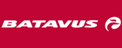 Bavatus Logo